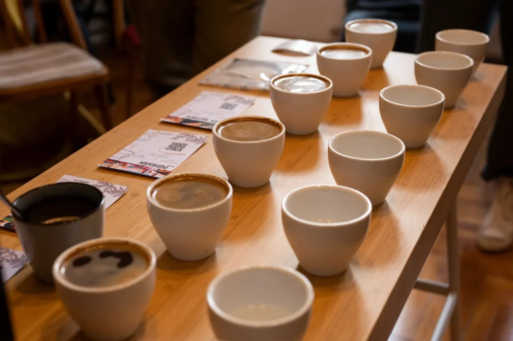 Una fila de tazas ya catadas en una cata de Café Tiko